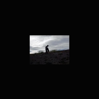 four thousand trees black cover_edited-1