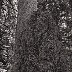 UNADJUSTEDNONRAW_thumb_8be