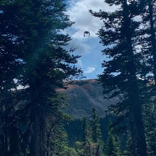 UNADJUSTEDNONRAW_thumb_8c3