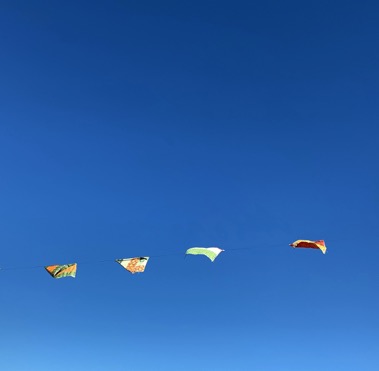 UNADJUSTEDNONRAW_thumb_8ca